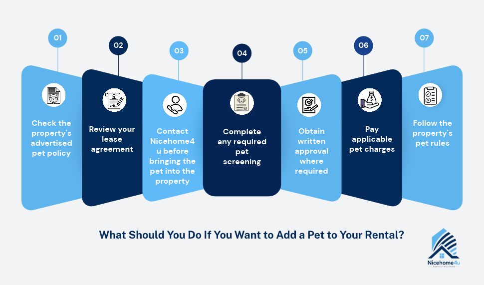 What Should You Do If You Want to Add a Pet to Your Rental?